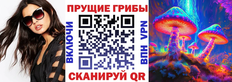 Галлюциногенные грибы ЛСД  OMG как зайти  Белозерск 